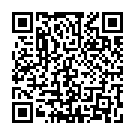 QR 893c316