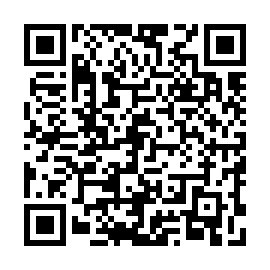 QR 898e295