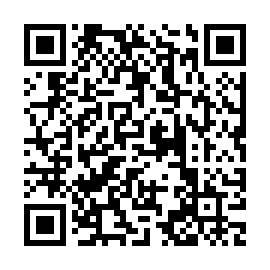 QR 89a3875