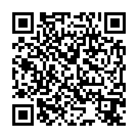 QR 8a87593