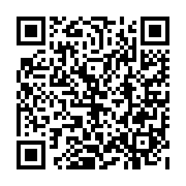 QR 8e2a133