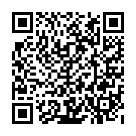 QR 8e3411b