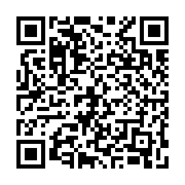 QR 903a261