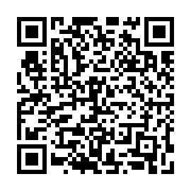 QR 9060453