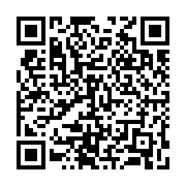 QR 9096163
