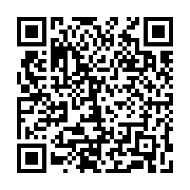 QR 91111b3