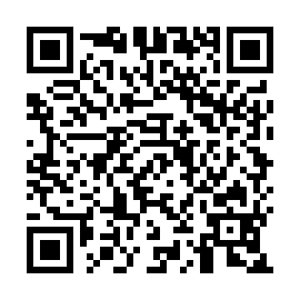 QR 911153a