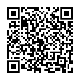 QR 91132c4