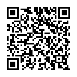 QR 9113451