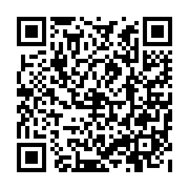 QR 9113461