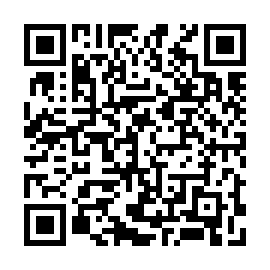 QR 9115e88