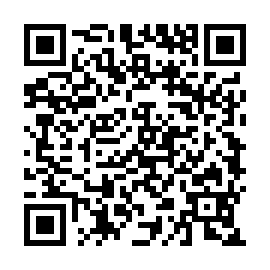 QR 911f234