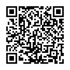 QR 91332e6