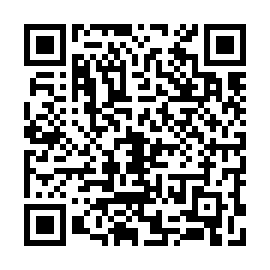 QR 913335d