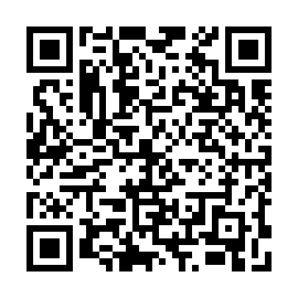 QR 9134081