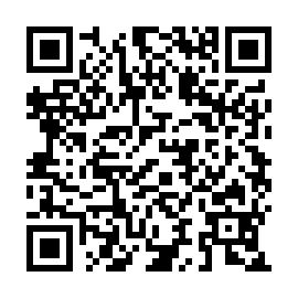 QR 913b882