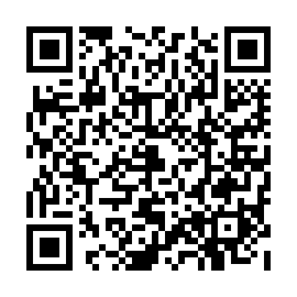 QR 913e330