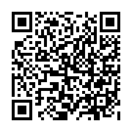 QR 913ef53