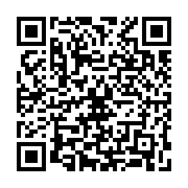 QR 913fc81