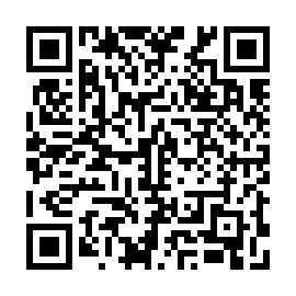 QR 915e239