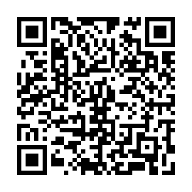 QR 91685b6