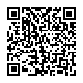 QR 916ab46