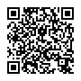 QR 916d295