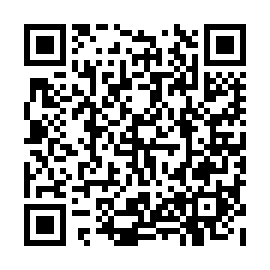 QR 917b395