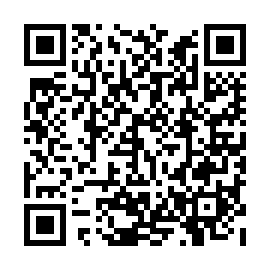 QR 919009e