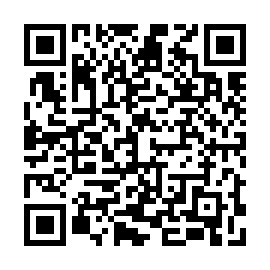 QR 9195bb8