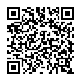 QR 9196bdd