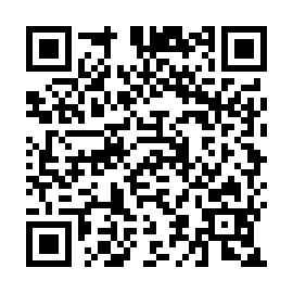 QR 9198291