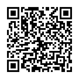 QR 919b491
