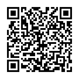 QR 919baf3