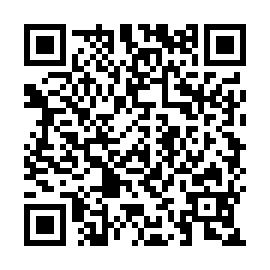 QR 919c460