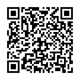 QR 919c811