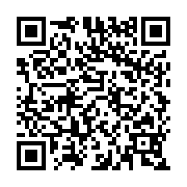 QR 919dffa