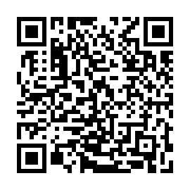 QR 919e4b8