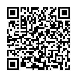 QR 919fd08