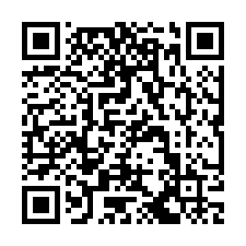 QR 91a4313