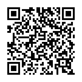 QR 91b78e1