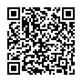 QR 91b8241