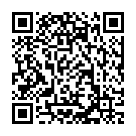 QR 91b95a8