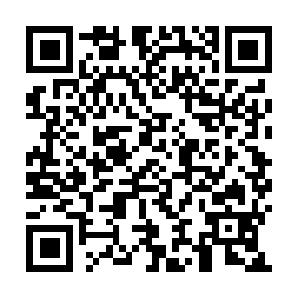 QR 91bce87
