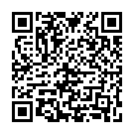 QR 91bdd91