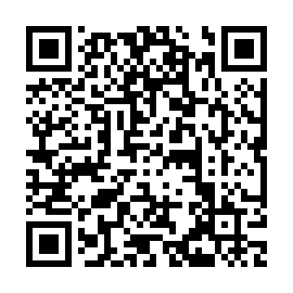 QR 91c9933