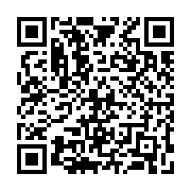 QR 91cb161