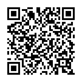 QR 91da355