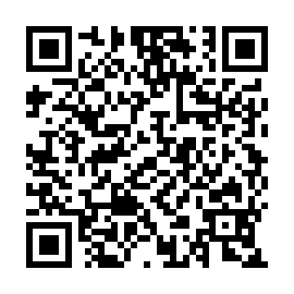 QR 91f33c3