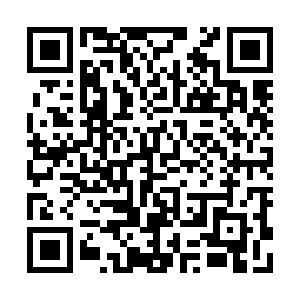 QR 9213256